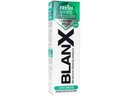 Bieliaca zubná pasta BlanX Fresh White Mätová 75ml 2ks Kód výrobcu BlanX Fresh White 2szt.