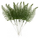 12X LIŚĆ LIŚCIE SZTUCZNE PAPROĆ 37 CM KWIATY SZTUCZNE
