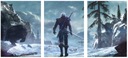 3x НАСТЕННЫЕ КАРТИНЫ ВЕДЬМАК 50x70