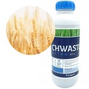 CHWASTOX EXTRA 300 SL 1L ZWALCZA CHWASTY DWULIŚCIENNE CHWASTOBÓJCZY
