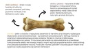 SYTA MICHA Функциональная кость для собаки, олень, абрикос, 13,5 см