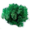 Мох чистый мох ЛЕСНАЯ КАРТИНА В БАНКЕ