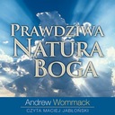 Истинная природа Бога - Эндрю Уоммак | Аудиокнига