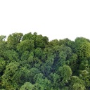 Олений мох Crabotek MOSS GREEN 80G NET