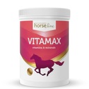 Добавка для лошадей Витамины VitaMax 2500г HORSELINEPRO