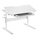 Detský písací stôl nastaviteľný XD SPE-X102W 90x60 cm Stav balenia originálne