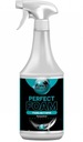 FENIKS Perfect Foam 1L ZASADOWA PIANA AKTYWNA