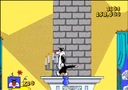 Sylvester & Tweety — игра для консоли Nintendo Game boy Color — GBC.