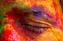 Разноцветная пудра Holi Powder Festival НАБОР 100 шт.