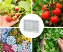 Панельный подвесной светильник для выращивания растений HEVA 60 LED UV + FAN