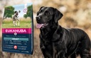 Karma dla psa EUKANUBA Adult Large Breeds Łosoś Waga produktu 2.5 kg