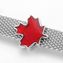 Подвески Кленовый лист отражения серебро S925