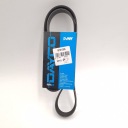 COURROIE MULTICANAL 6PK1095 DAYCO 6PK1095DAYphoto 8