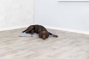 Trixie Chladiaca podložka pre psa XL 90x60cm sivá Materiál bavlna