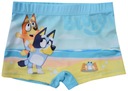 Плавки-боксеры SWIM SHORTS DOG BLUEY 122/128 D026A