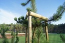 набор опор для дерева 6x250 см