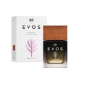 K2 Eau de Parfum Фруктовый автомобильный аромат