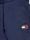 Y3695 Tommy Jeans Teplákové nohavice Tjw Hrs Badge Relaxed Fit TEPLÁKY S Kód výrobcu DW0DW09740