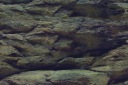 Aquanova Фон двухсторонний Растения Камень 60x30Cm