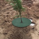 Засоби Від Комах Kgedon 25Cm 10Pcs