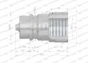 ШВИДКОРОЗ'ЄМНИЙ ГІДРАВЛЯЧНЕ ФІШКА G1/2″BSP ГВИНТ ВНУТРІШНІЙ ISO 7241-A WARY  (17297619906) фото min 9