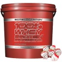 Scitec 100% Whey Protein Professional 5000 г 5 кг білого шоколаду з полуницею