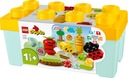 LEGO DUPLO 10984 Растительный сад