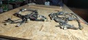 YAMAHA XJ 600 97-03 ПРОВОДКА ЕЛЕКТРИЧНА КОМПЛЕКТ ПРОВОДІВ ПАТРУБКИ  фото 15