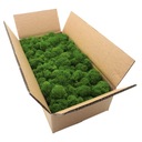 Mach RENIFER chrobot 500g Dekoratívny FINSKI PREMIUM zelený grass Forma v kartóne