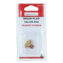 СЛИВНАЯ ПРОБКА M10X1,25 КЛЮЧ НА 13 ММ 21