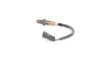 SONDE LAMBDAphoto 9