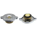 Крышка заливной горловины радиатора Valtra Valmet V31679810