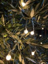 GIRLANDA 15m Svietidlá 50ks záhradné žiarovky Kód výrobcu Lampki ogrodowe oświetlenie na taras
