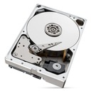 Dysk HDD IronWolfPro 10TB 3.5'' 256MB ST10000NT001 Pojemność dysku 10TB