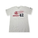 Мужская белая футболка ADIDAS VOLLEYBALL USA S 42