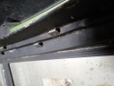 РЕШІТКА РЕШІТКА РАДІАТОРА VW TOURAN I РЕСТАЙЛ 07R 1T0853651D  (16124604639) фото min 15