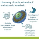 Vitamín C LIPOZOMÁLNY 1000 mg komplex pre tekutú imunitu bez cukru EAN (GTIN) 5906079047074