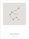 Знаки Зодиака: Плакат Водолей