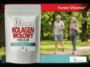 Суглоби, Кістки, М'язи Forest Vitamin 500G