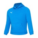 СВИТЕР С КАПЮШОНОМ PUMA TEAMGOAL 23 JR ELEC