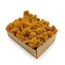 Финский ОЧИЩЕННЫЙ МОХ 50г