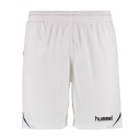 Мужские шорты HUMMEL Authentic Charge 2XL