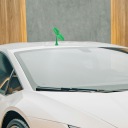 3 SZT. REALISTYCZNE OZDOBY NA КРЫША АВТОМОБИЛЯ Z KIELKAMI FASOLI, LATWY МОНТАЖ  фото 15