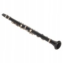 Миниатюрная копия кларнета с подставкой и футляром.