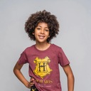 Tričko Harry Potter Rokfortské šortky Detská súprava HP 128 Veľkosť (new) 128 (123 - 128 cm)