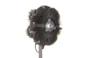MAHLE EMBRAYAGE VENTILATEUR RADIATEUR MAN TGA TGS I TGX Iphoto 12
