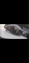 HEADLIGHTS CUSTOMOWE SEAT IBIZA MEGA WYGLAD.  photo 5