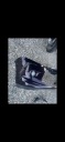 SPARE PARTS CITROEN DS3 2016  photo 4