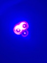 ЛІХТАРИК UV 30W NA BURSZTYN.  (1084837469) фото min 2