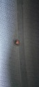 DEBICA PRESTO HP2 195/65/15 2 ШТУКИ 6MM  (1084812446) фото min 6